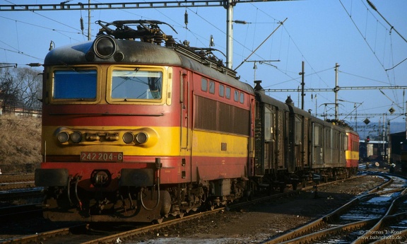 242 204