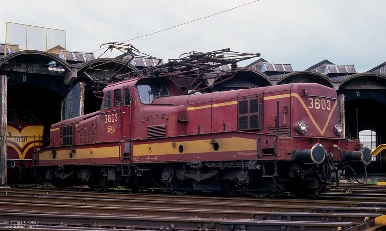 1016n.jpg