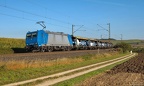 Meine Bilder - 2011