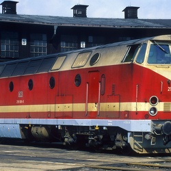 219