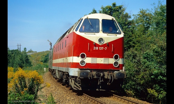 219 137