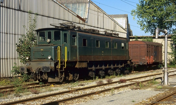 11024