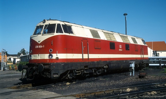 228 804