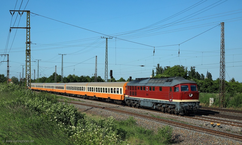 8936.jpg