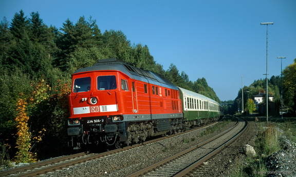 232 504