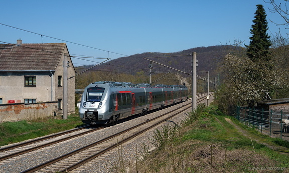 442 9302