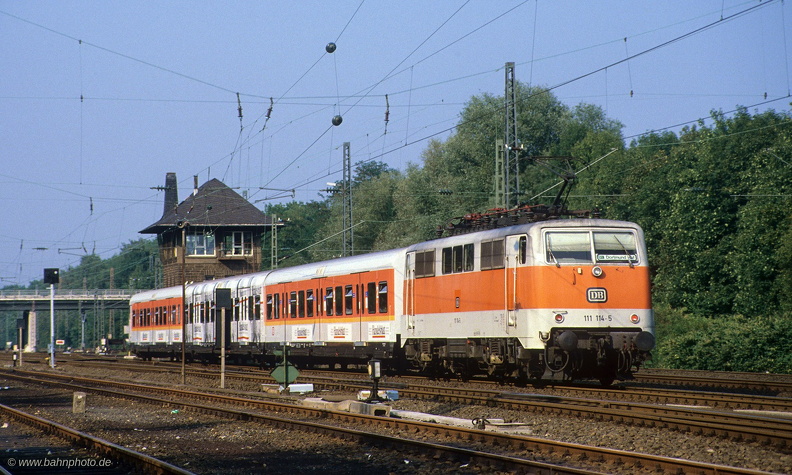 1113.jpg