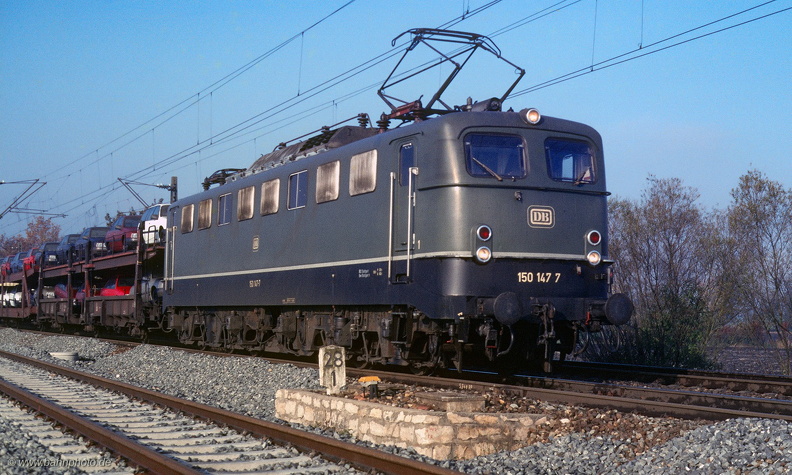 1181.jpg