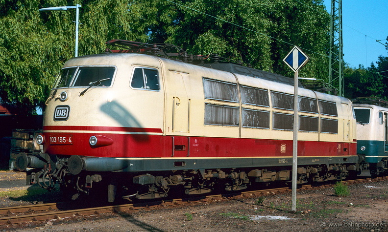 1194.jpg
