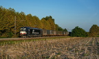 193 - Vectron