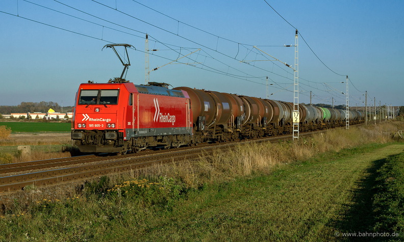 8170.jpg